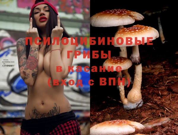 винт Алзамай