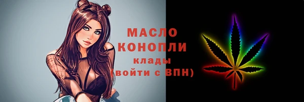 дмт Алексин