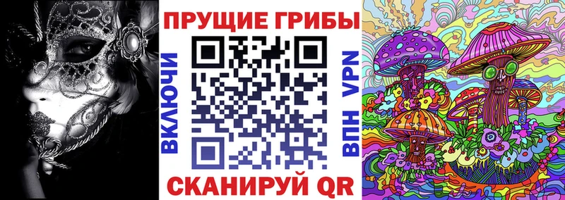 МЕГА рабочий сайт  цена   Черкесск  Псилоцибиновые грибы мицелий 